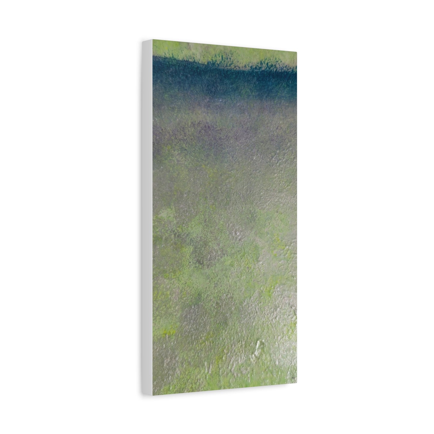 Canvas Gallery Wraps Sage by Sliver Lavender 2 of 3