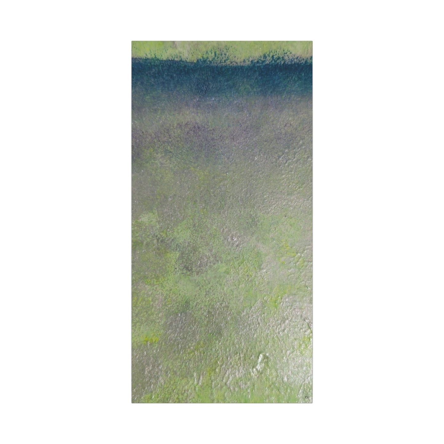 Canvas Gallery Wraps Sage by Sliver Lavender 2 of 3