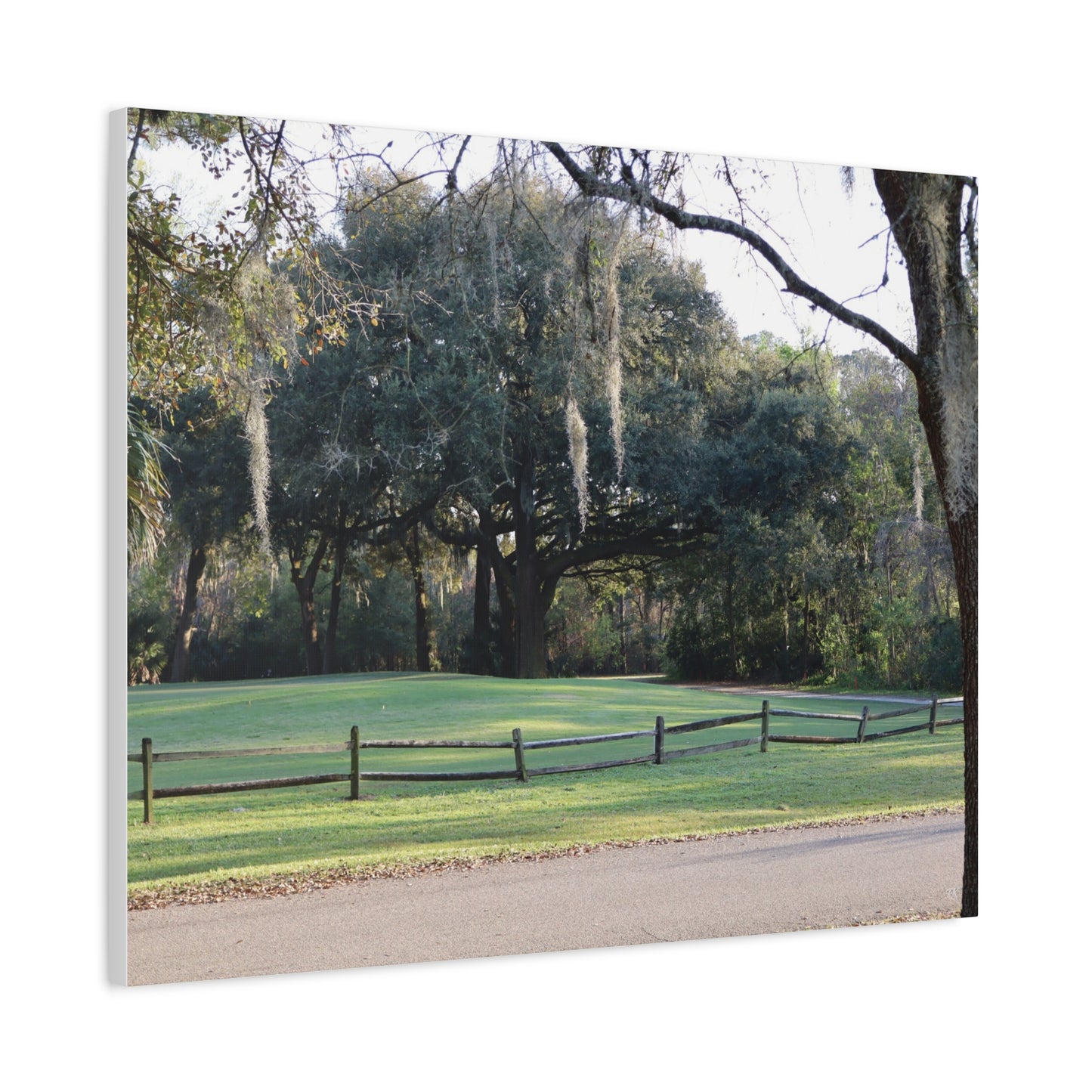 Scenic Landscape Canvas Print - Tranquil Nature Wall Art