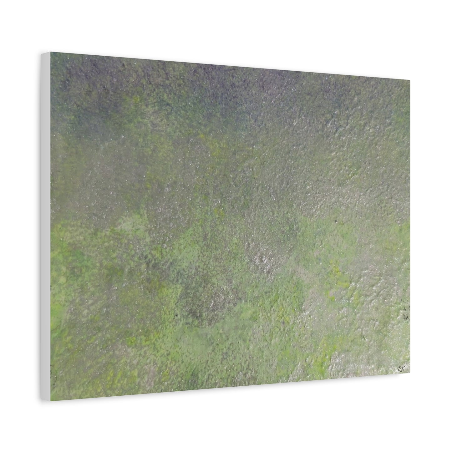 Canvas Gallery Wraps Sage by Sliver Lavender 2 of 3