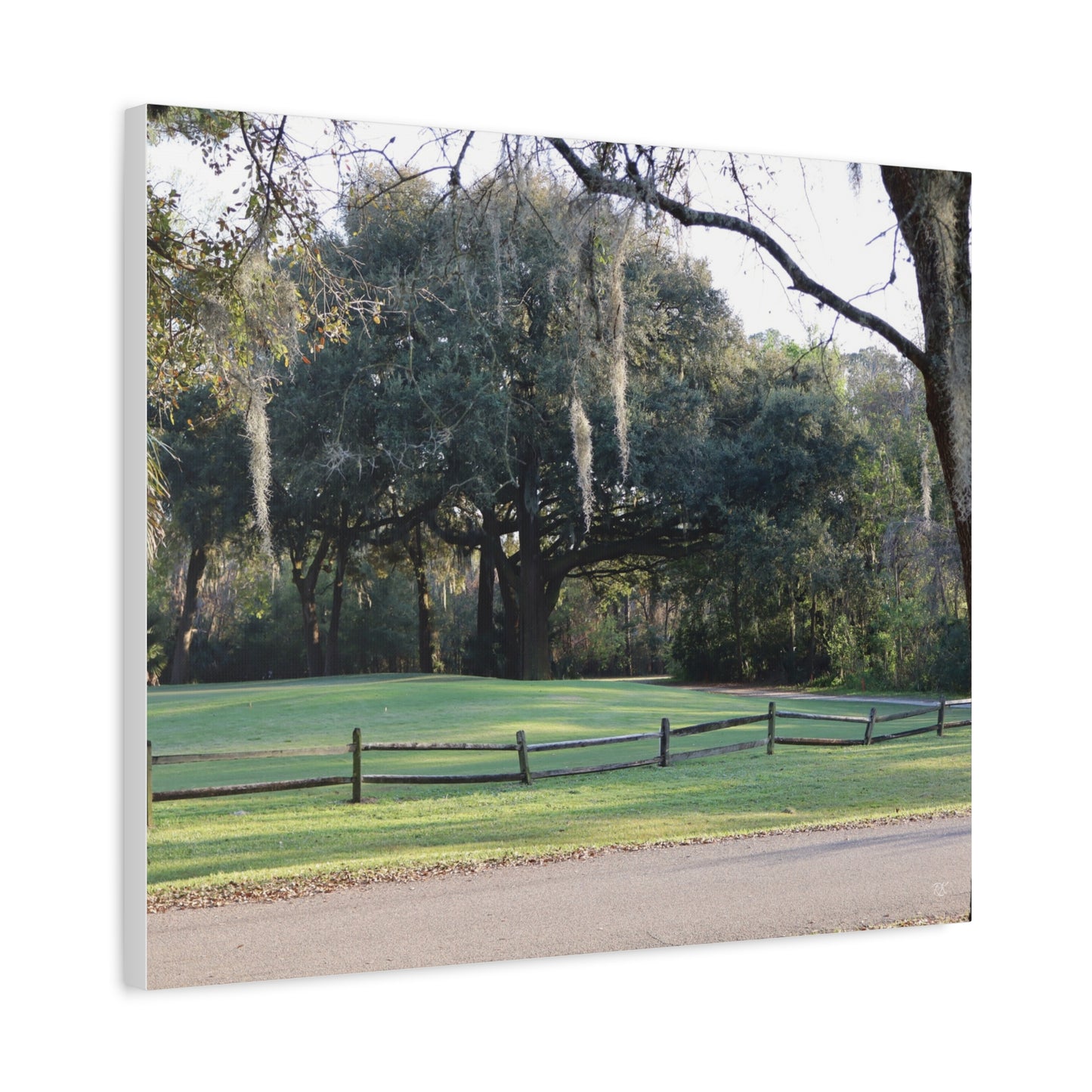 Scenic Landscape Canvas Print - Tranquil Nature Wall Art