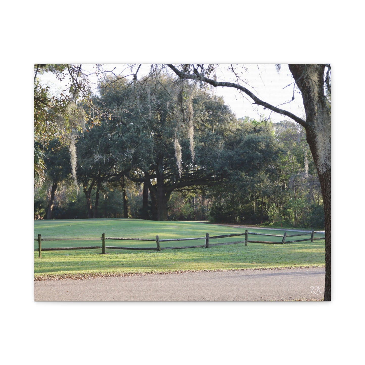 Scenic Landscape Canvas Print - Tranquil Nature Wall Art