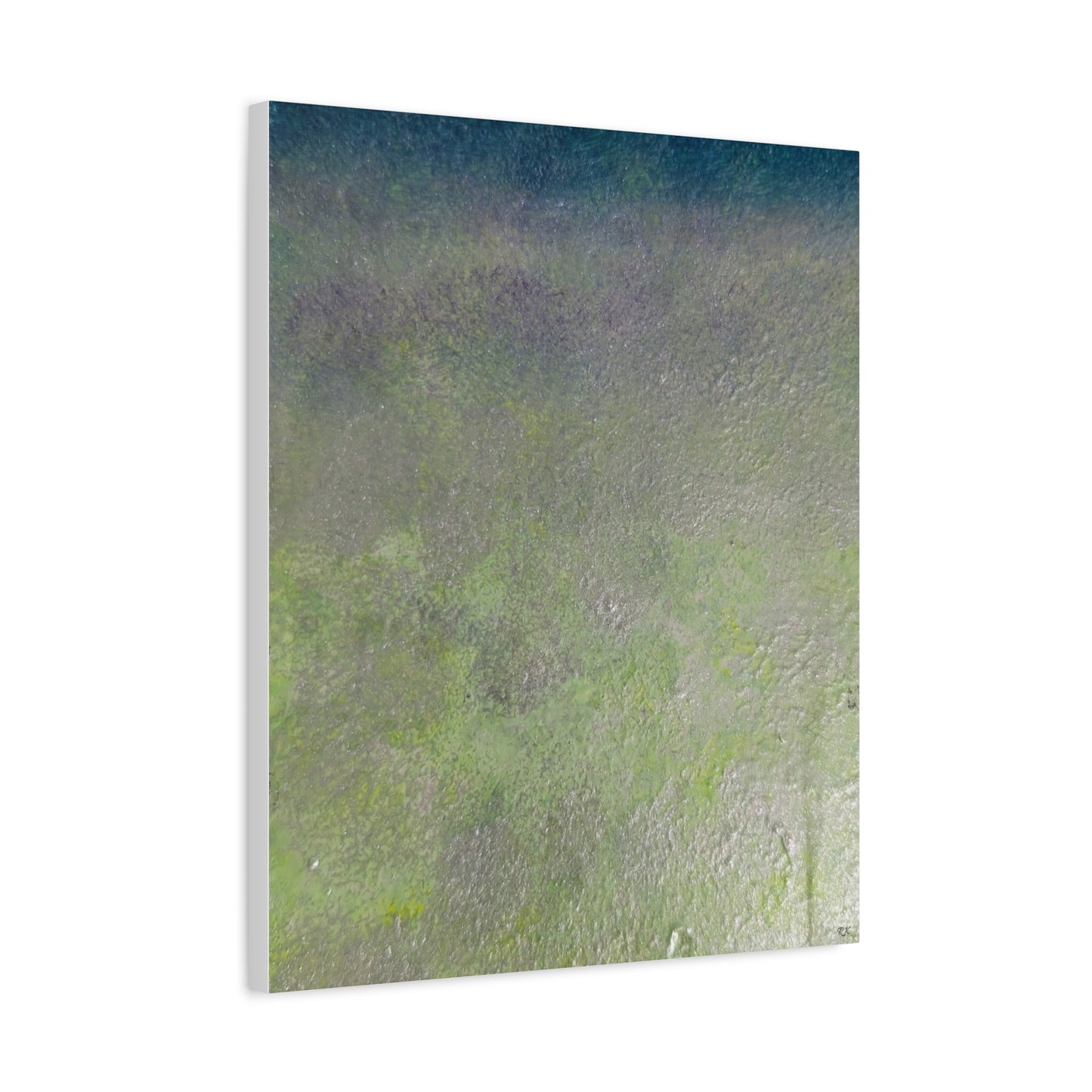 Canvas Gallery Wraps Sage by Sliver Lavender 2 of 3