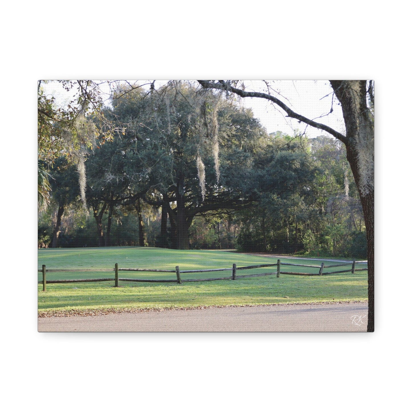 Scenic Landscape Canvas Print - Tranquil Nature Wall Art