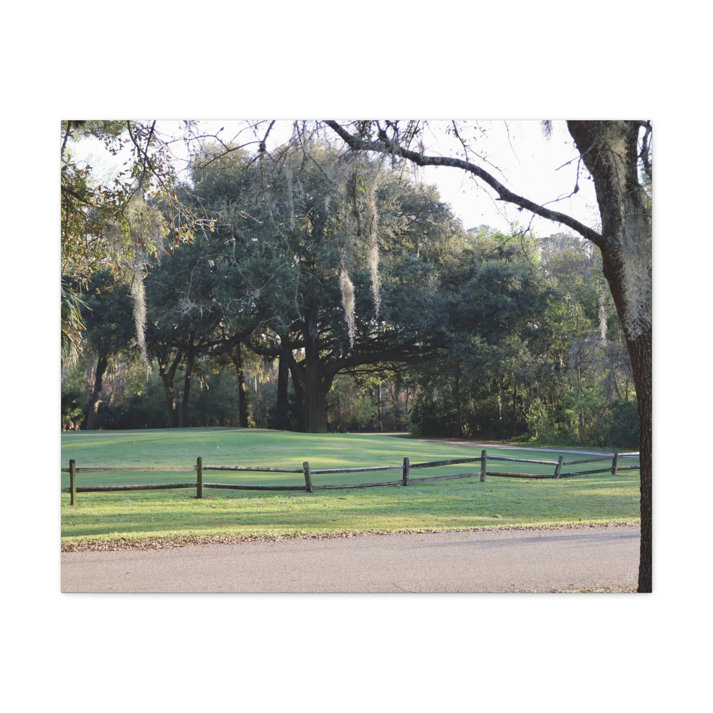 Scenic Landscape Canvas Print - Tranquil Nature Wall Art