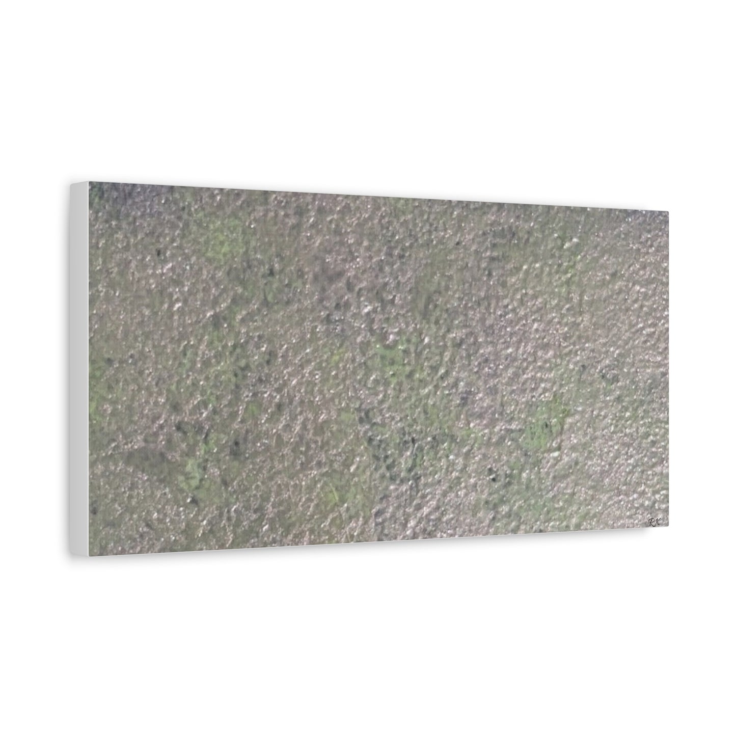 Canvas Gallery Wraps Sage by Sliver Lavender 3 of 3