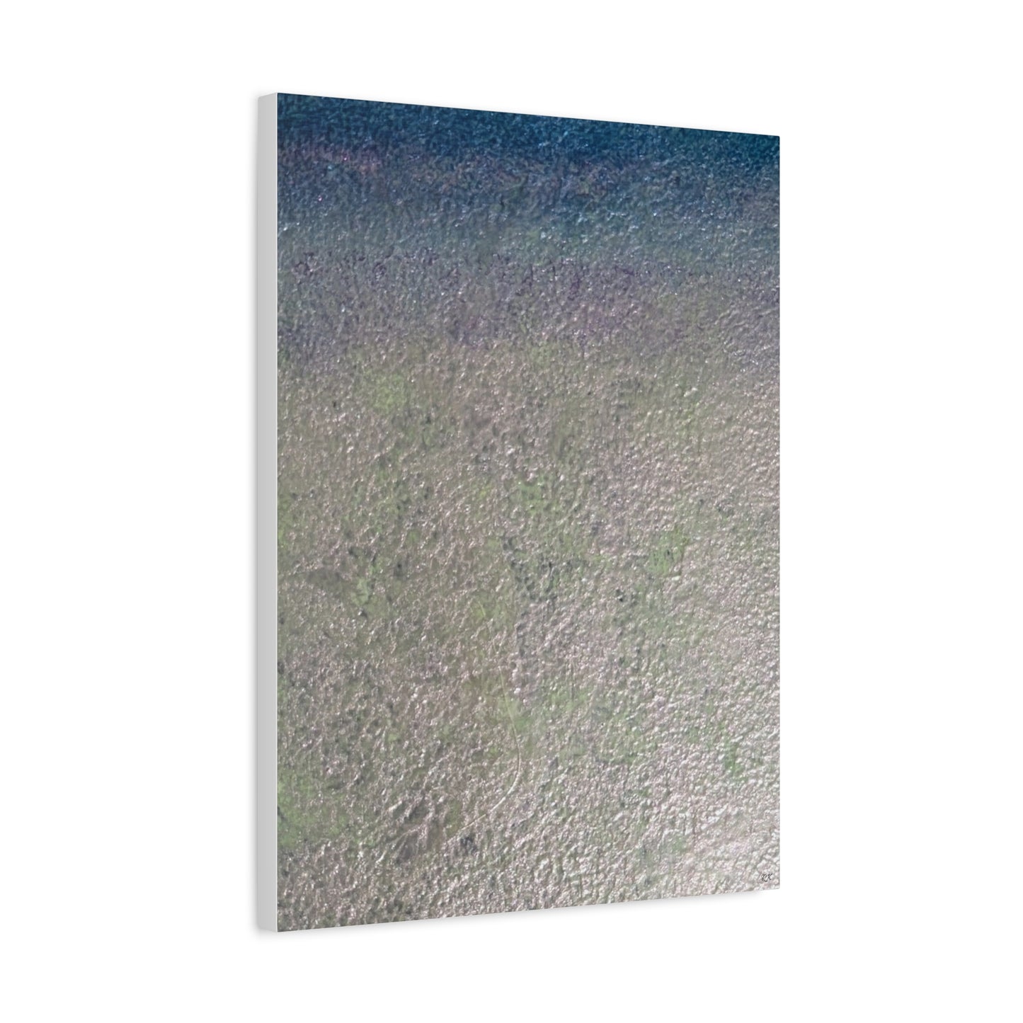 Canvas Gallery Wraps Sage by Sliver Lavender 3 of 3