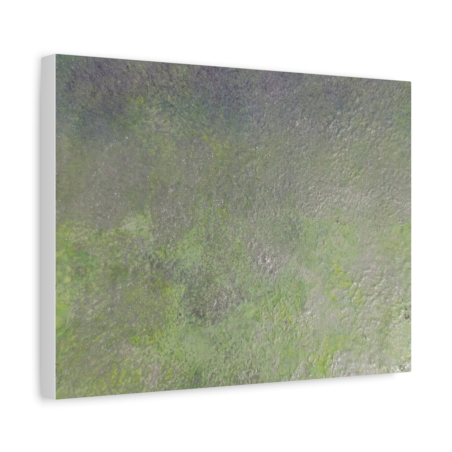 Canvas Gallery Wraps Sage by Sliver Lavender 2 of 3