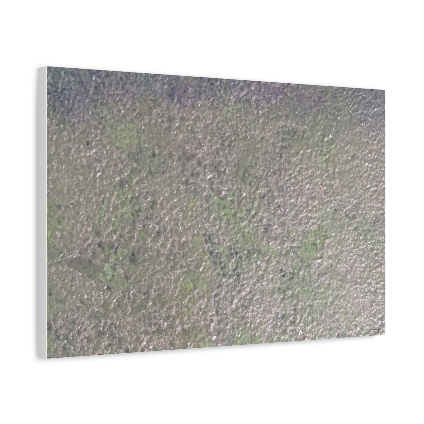 Canvas Gallery Wraps Sage by Sliver Lavender 3 of 3