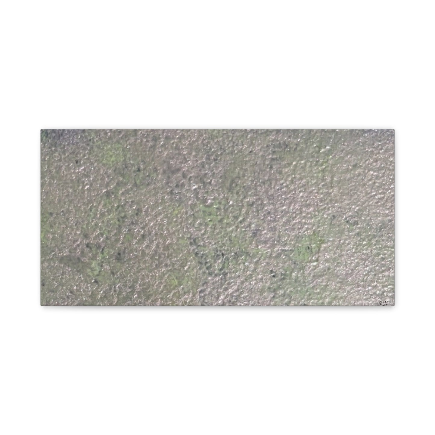 Canvas Gallery Wraps Sage by Sliver Lavender 3 of 3