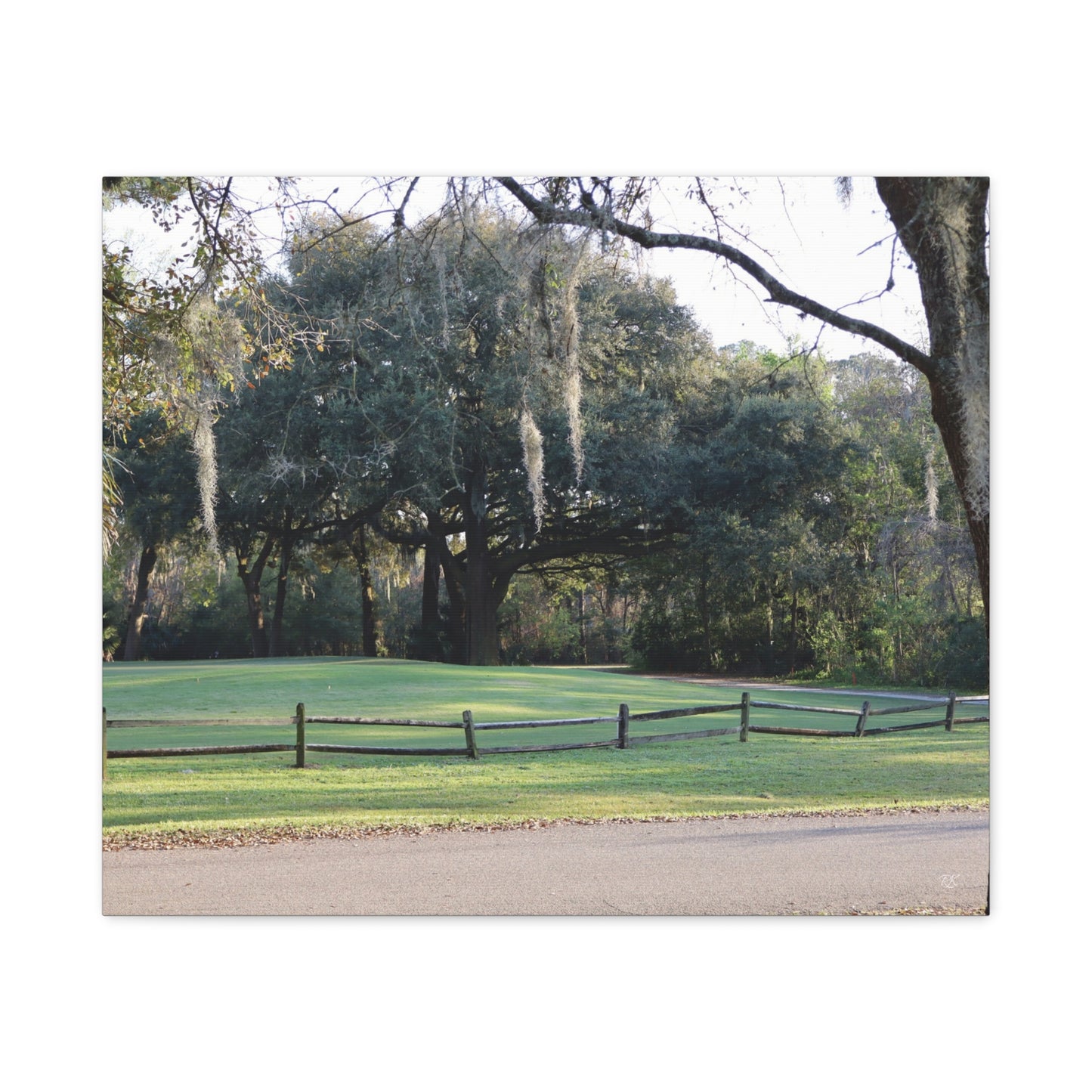 Scenic Landscape Canvas Print - Tranquil Nature Wall Art